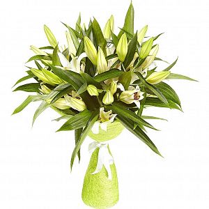 Белые лилии