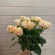 15 кремовых роз